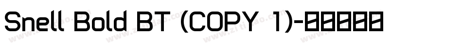 Snell Bold BT (COPY 1)字体转换